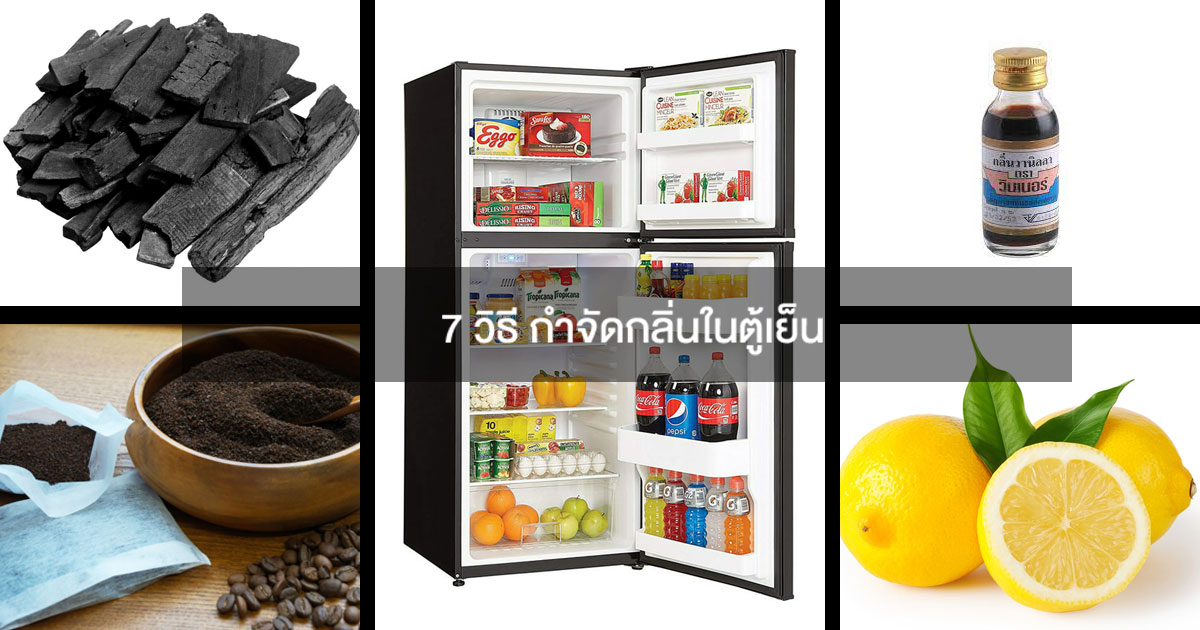 7 วิธี กำจัดกลิ่นในตู้เย็น 11 7วิธีกำจัดกลิ่นตู้เย็น